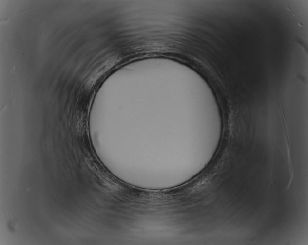 X0000103250873200809251349