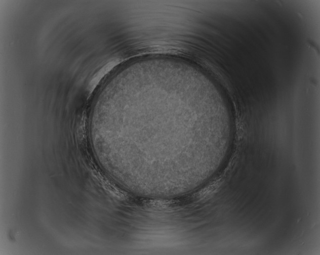 X0000103250875200809251349