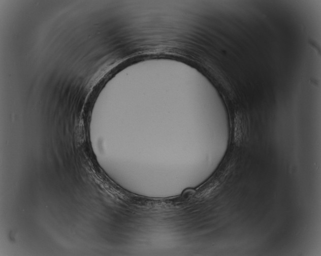 X0000103250876200809251349