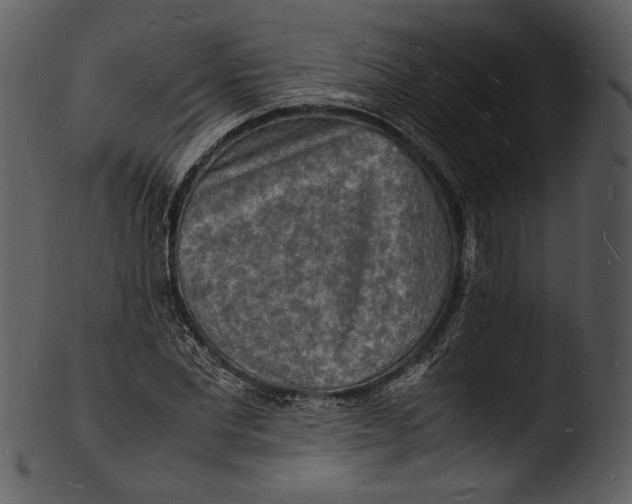 X0000103250877200809251348