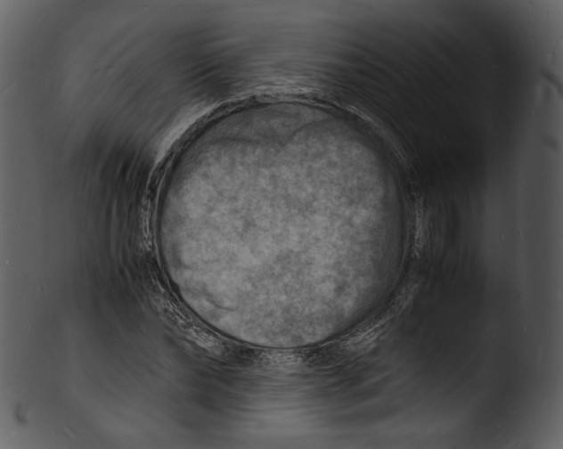 X0000103250878200809251348