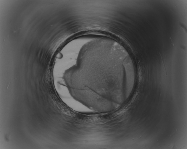 X0000103250879200809251348