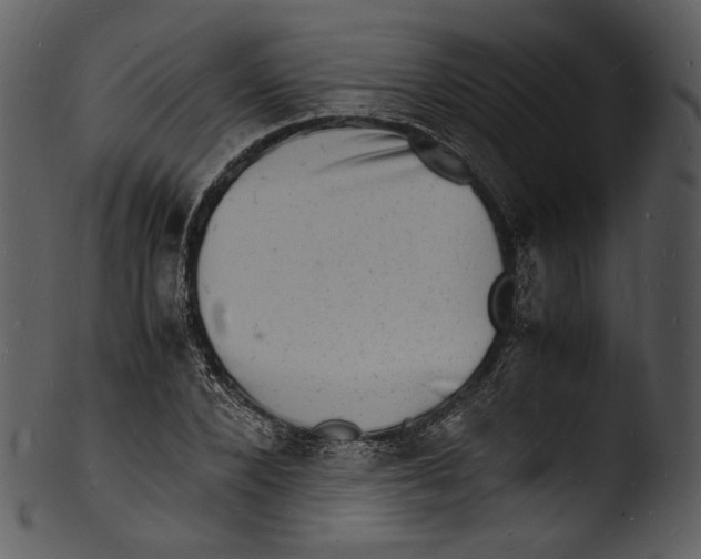 X0000103250880200809251348