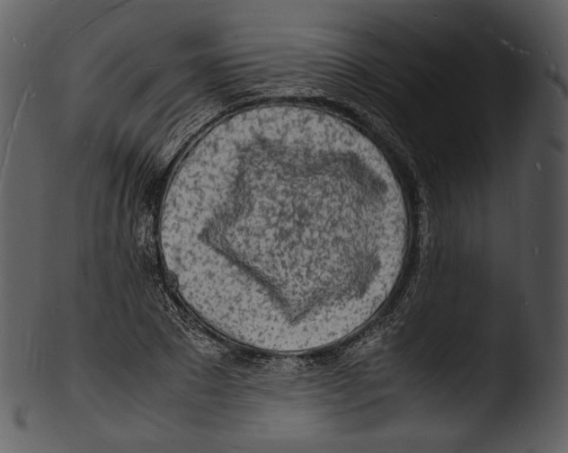 X0000103250881200809251348