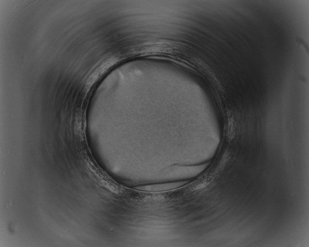 X0000103250882200809251348