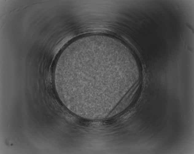 X0000103250883200809251348