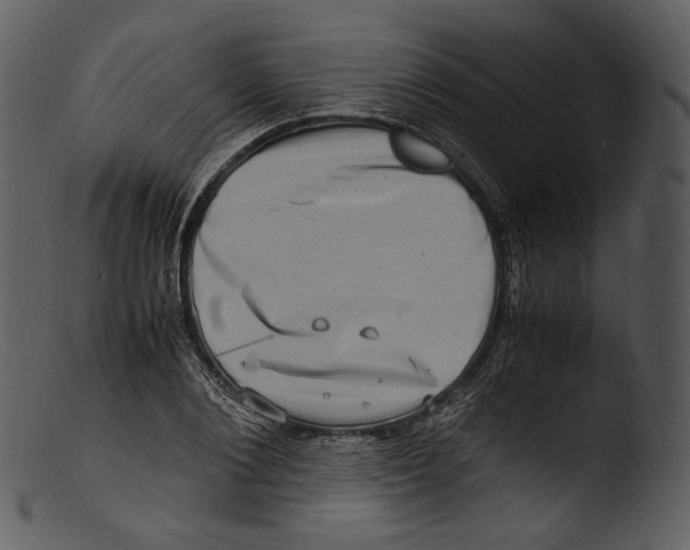 X0000103250884200809251348