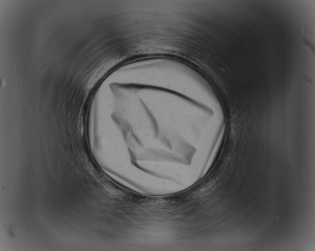 X0000103250885200809251348