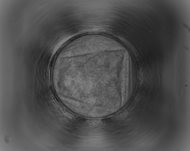 X0000103250886200809251348