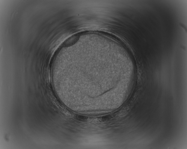 X0000103250887200809251348