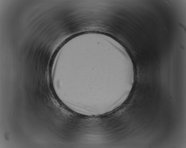 X0000103250888200809251348