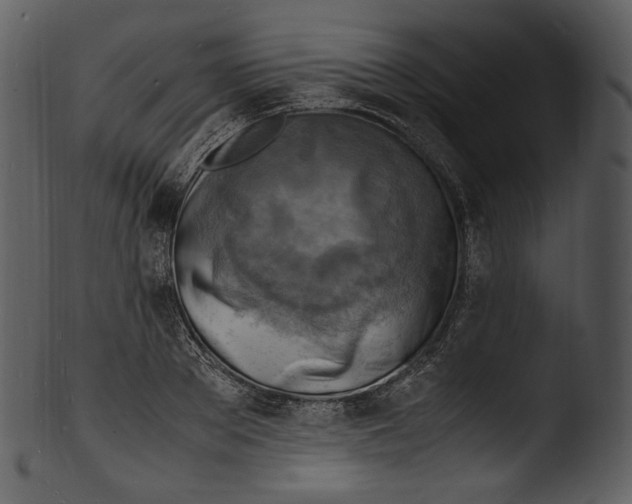 X0000103250889200809251348