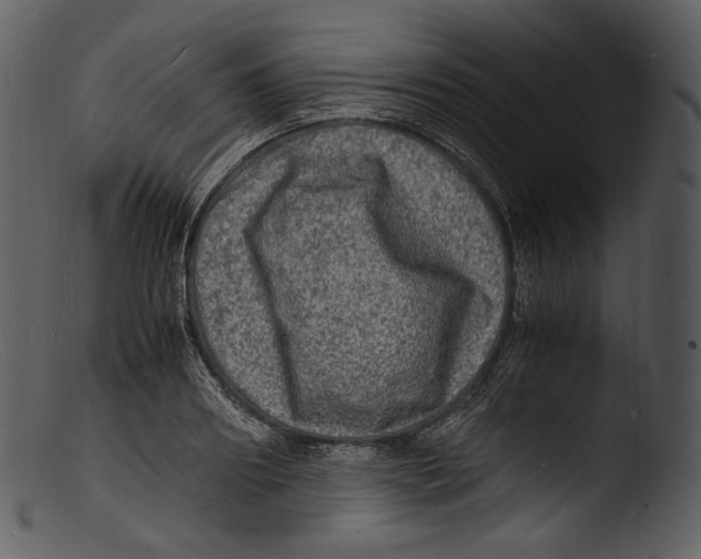 X0000103250890200809251348