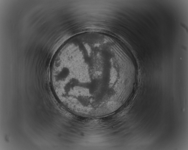 X0000103250891200809251348