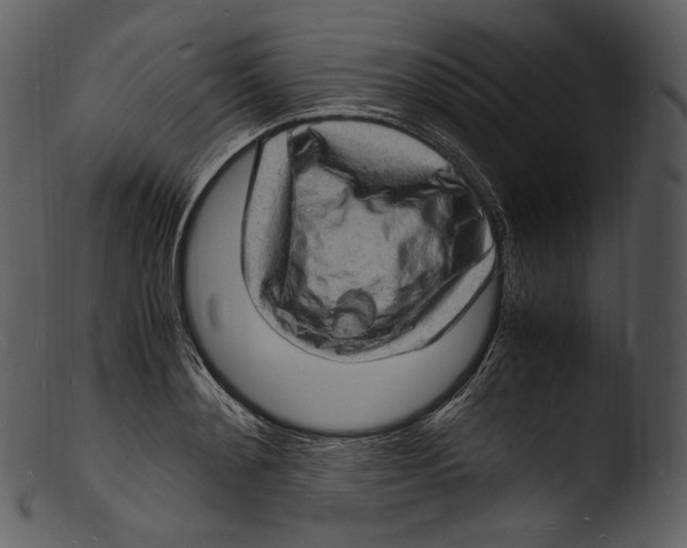 X0000103250892200809251348