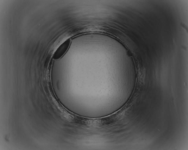 X0000103250893200809251348