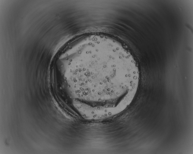 X0000103250894200809251348
