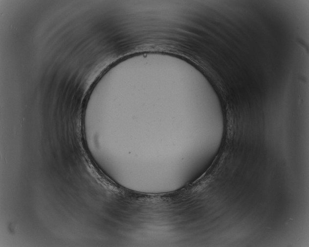 X0000103250896200809251348