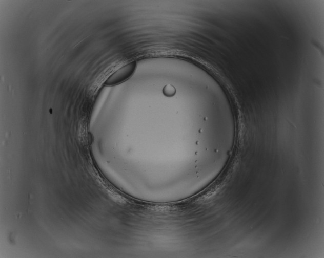 X0000103250897200809251348