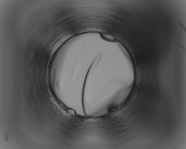 X0000103250898200809251348