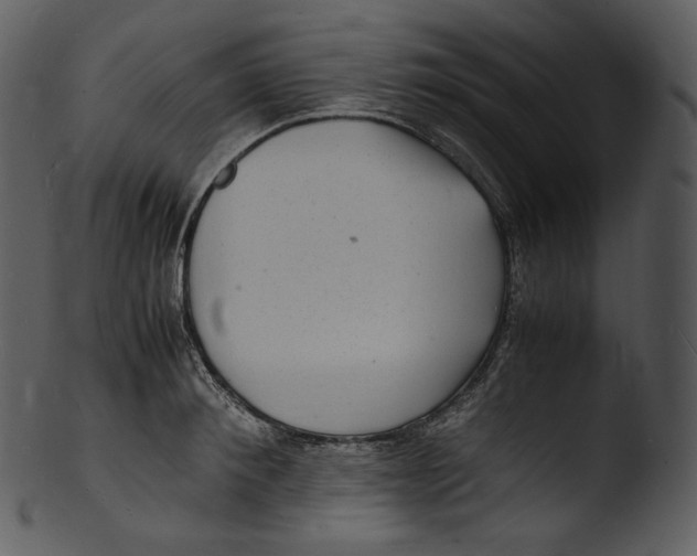 X0000103250900200809251348