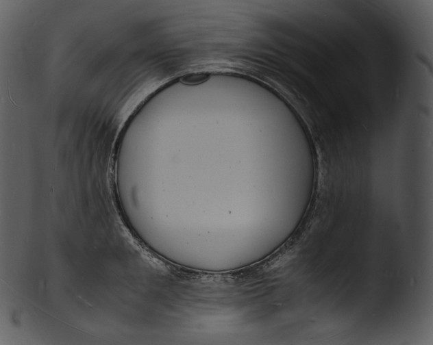 X0000103250901200809251348