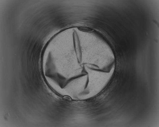 X0000103250902200809251348