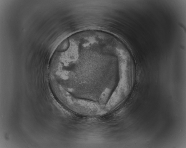 X0000103250903200809251348