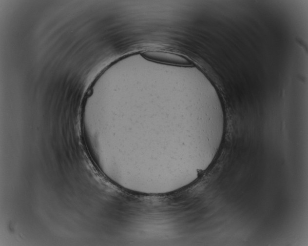 X0000103250904200809251348