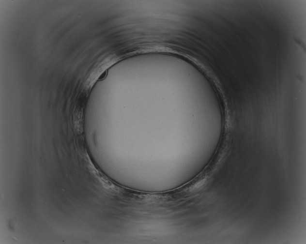 X0000103250905200809251348