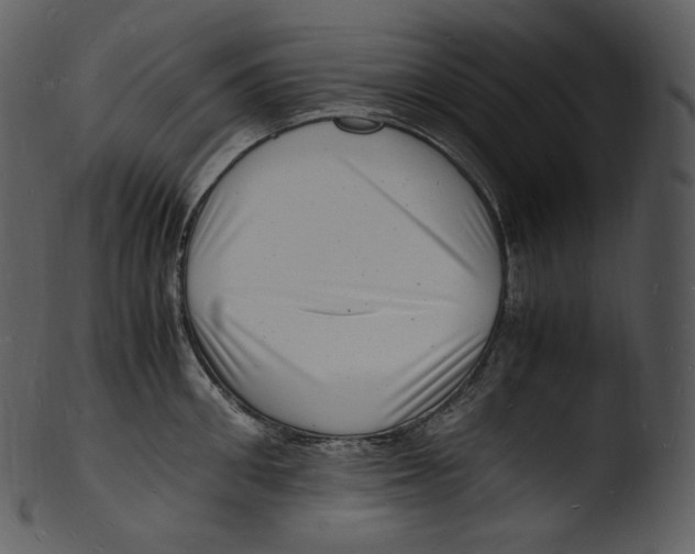 X0000103250906200809251348