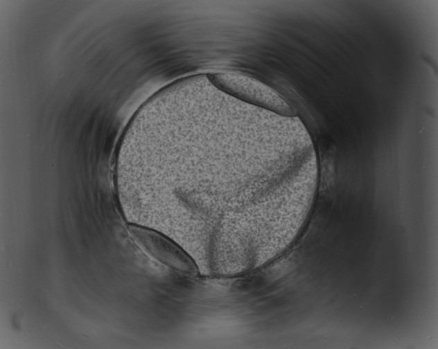 X0000103250908200809251348