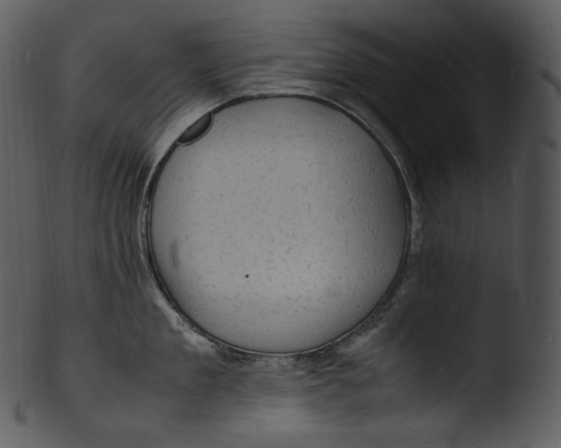 X0000103250909200809251348