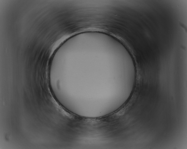 X0000103250910200809251348