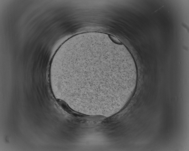 X0000103250912200809251348