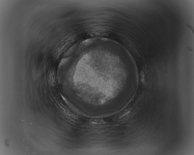 X0000103250915200809251347
