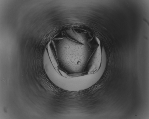 X0000103250916200809251347