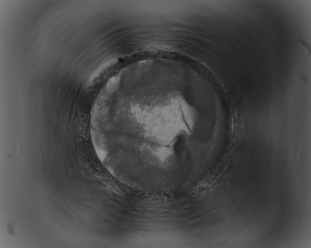 X0000103250919200809251347