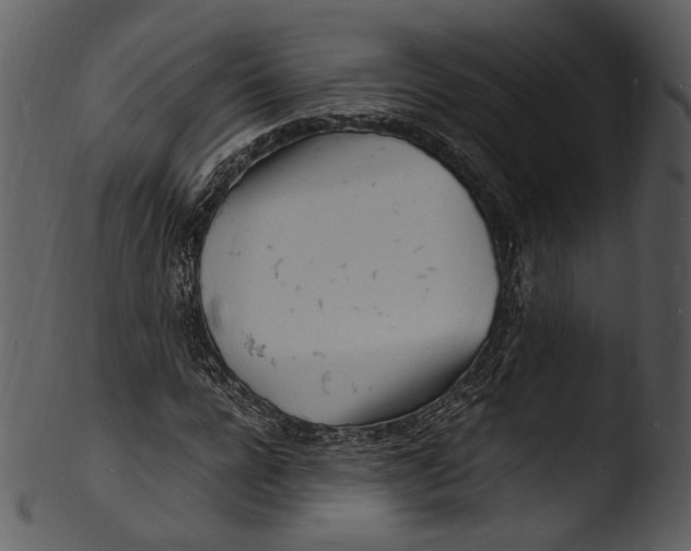 X0000103250920200809251347