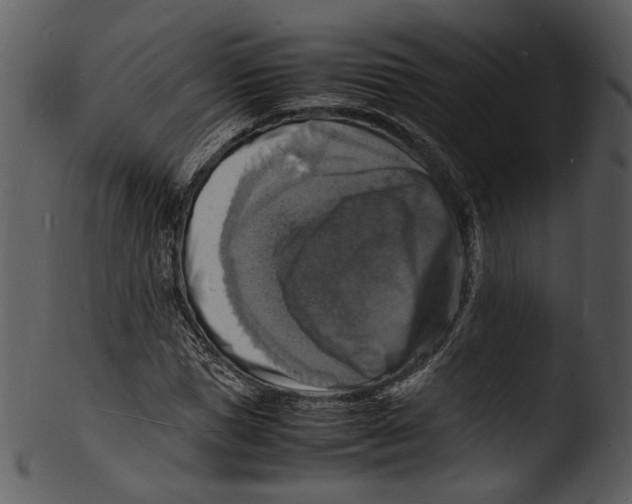 X0000103250921200809251347