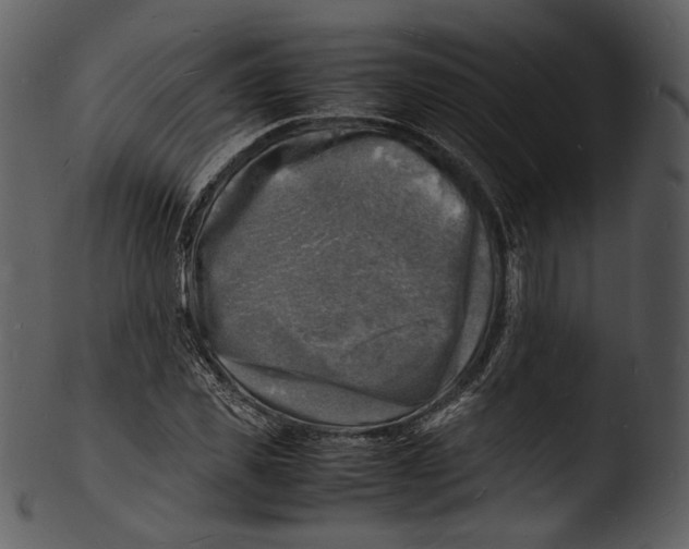 X0000103250925200809251347