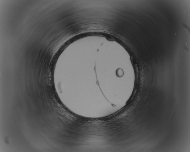 X0000103250926200809251347