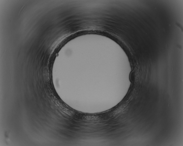 X0000103250927200809251347