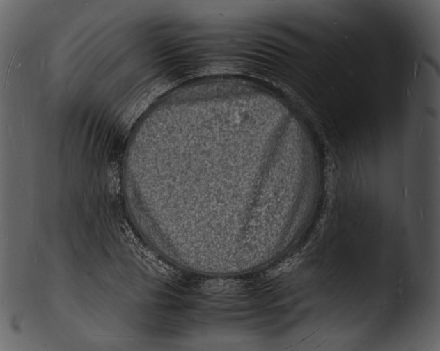 X0000103250929200809251347