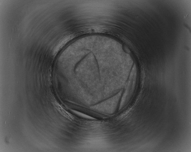 X0000103250930200809251347