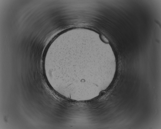 X0000103250932200809251347