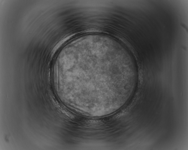 X0000103250933200809251347