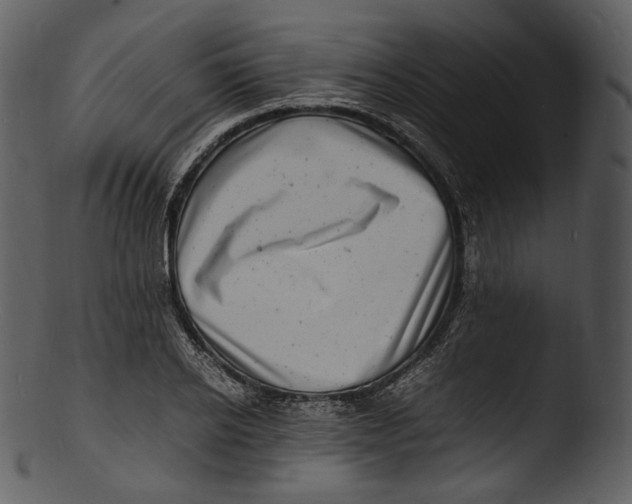 X0000103250934200809251347