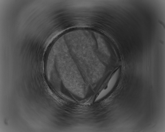 X0000103250935200809251347