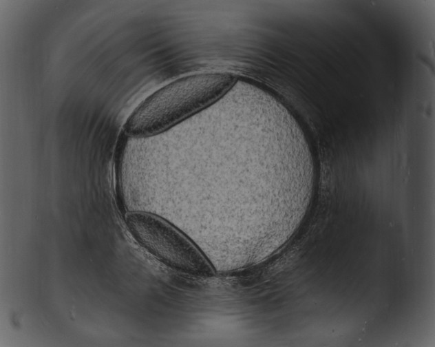X0000103250936200809251347